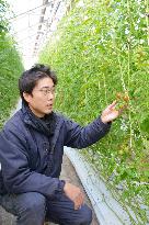 Smaller firms in Japan expanding roles in overseas assistance