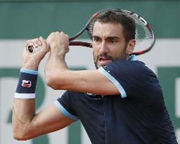 Tennis: Cilic through to q'finals at Roland Garros