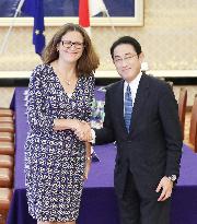 Japan, EU remain apart in free trade talks, focus on dairy, autos