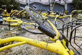 Ofo shared bicycles in Beijing