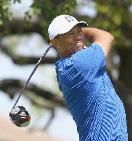 Golf: Tiger Woods at Dell Match Play