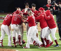 Baseball: Rangers v Angels