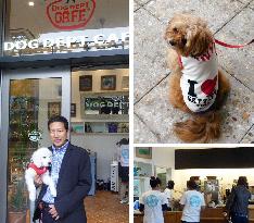 Dog cafe at foot of Tokyo Skytree