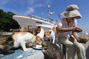 "Cat island" in western Japan