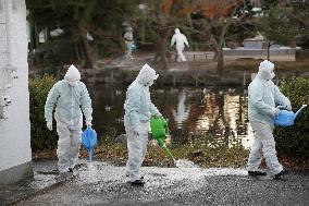 Swan tests positive for bird flu virus at Nagoya zoo