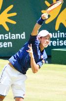 Nishikori vs Verdasco at Gerry Weber Open tennis