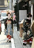 Geiko, maiko in summer greetings