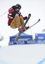 Skiing: Onozuka wins women's World Cup halfpipe title