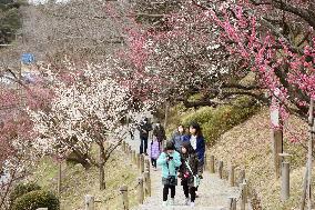 Mito Plum Blossom Festival begins