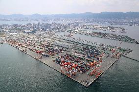 Aggressive red fire ants found at Kobe port