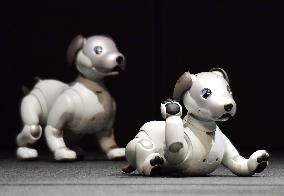 Sony unveils new AIBO robot dog