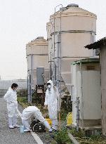 H7 bird flu strain detected in Aichi