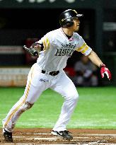 Softbank slugger Matsunaka hits game-winning homer