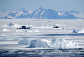 Scenes of Antarctic