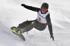 Asian Games: Japan's Yanetani wins 1st gold of games in women's snowboarding