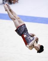 Gymnastics: Japan all-round title