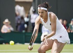 Tennis: Wimbledon championships