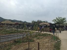 S. Korea village keeps heritage alive, key to better Japan ties