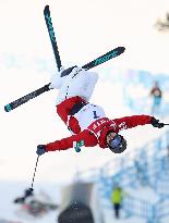 Skiing: Japan's moguls ace Endo out of World Cup meet in Akita