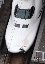 Shinkansen bullet train kills man on tracks