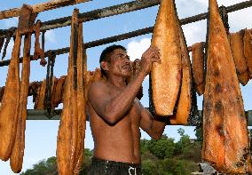 Whale hunters in Indonesia