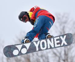 Japan's Aono wins World Cup men's halfpipe event