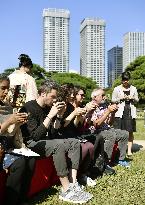 Tokyo Grand Tea Ceremony at Hama-rikyu Gardens in Tokyo