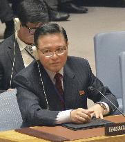 U.N. Security Council meeting