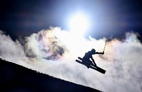 Freestyle skiing World Cup