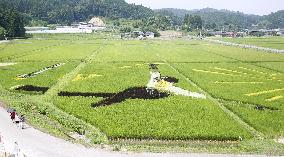 Rice paddy art of figure skating star Hanyu