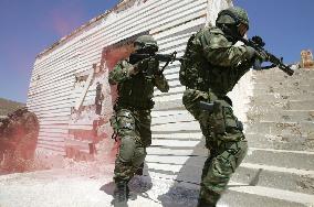 Greece prepares manual for possible terror attacks in Olympics