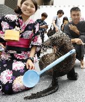 Seal joins "uchimizu" event at Tokyo's aquarium