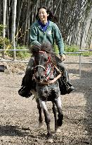 Farmer strives to preserve indigenous Japanese horses