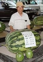 Takamitsu wins water melon contest