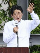 LDP's 2012 plan in focus as Abe cagey on constitutional revision
