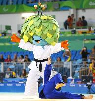 Scenes of Rio Paralympics