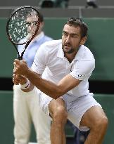 Tennis: Cilic advances to Wimbledon semifinals