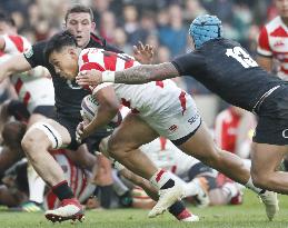 Rugby: Japan-England test match