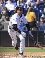 Baseball: Yankees' Troy Tulowitzki