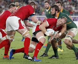 Rugby World Cup in Japan: Wales v South Africa