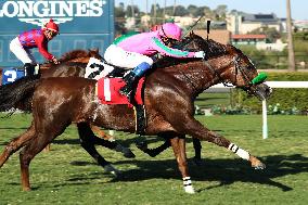Japanese-bred Nuovo Record wins at Del Mar