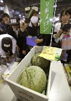 Pair of Yubari melons fetch 1.5 million yen