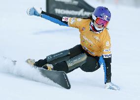 Snowboarding: Takeuchi in World Cup event