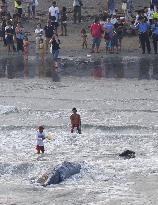 Dead whale at Japanese popular beach