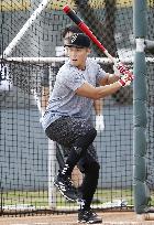 Baseball: Wang Po-jung in Arizona