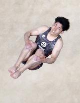 Gymnastics: Japan all-round title