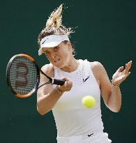 Tennis: Wimbledon championships