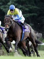 Horse racing: Deep Impact