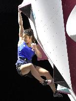 Sport climbing: World championships in Qatar