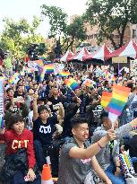 Taiwan's same-sex marriage bill passes 1st hurdle